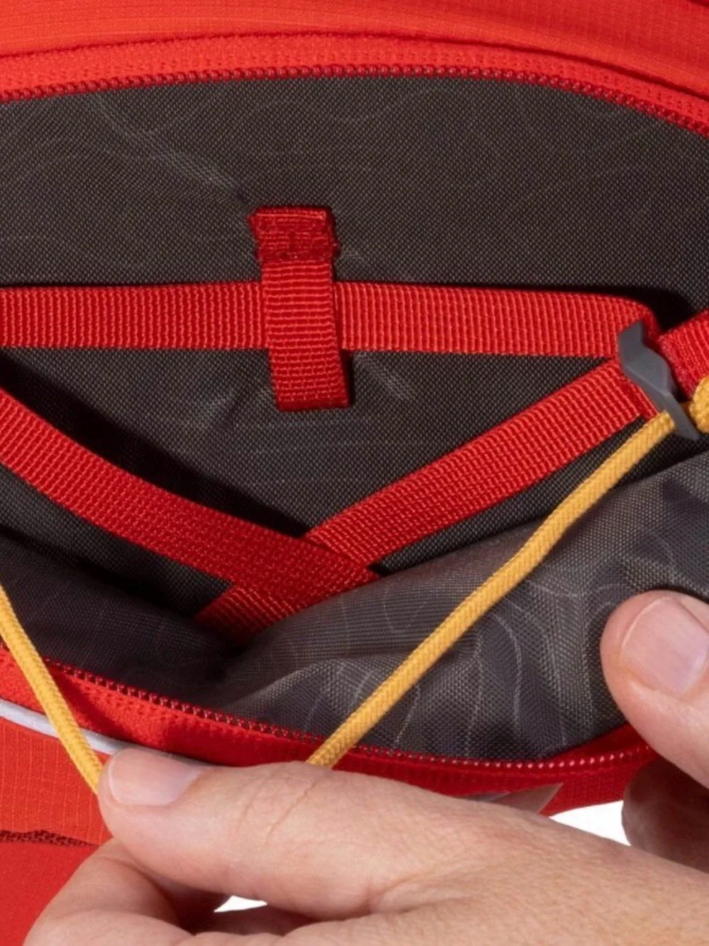 RuffWear Palisades Dog Backpacking Pack